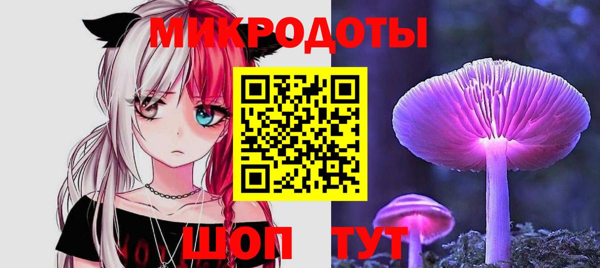 Галлюциногенные грибы Psilocybe Дивногорск