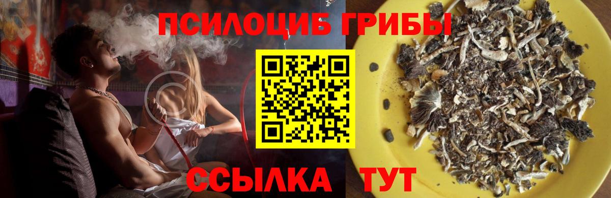 Галлюциногенные грибы прущие грибы  Вход с VPN  Дивногорск 