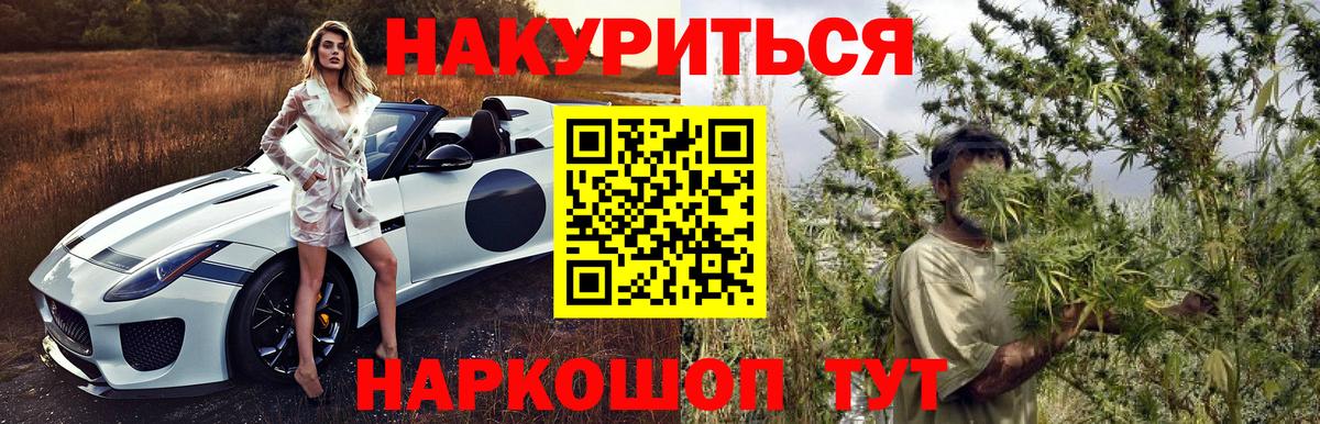 МАРИХУАНА конопля Дивногорск